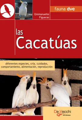Read: Las Cacatúas Book