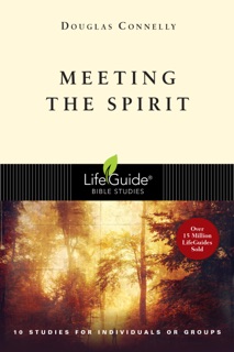 Meeting the Spirit by Douglas Connelly