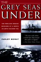 Grey Seas Under