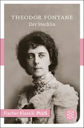 Read: Der Stechlin Book