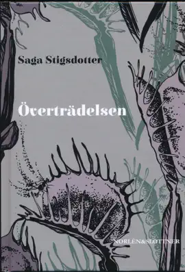 Överträdelsen