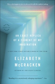 An Exact Replica of a Figment of My Imagination - Elizabeth McCracken