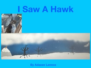 I Saw A Hawk by Adaeze Lennox