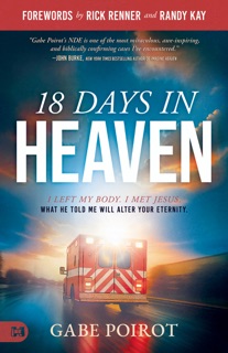 18 Days in Heaven by Gabe Poirot