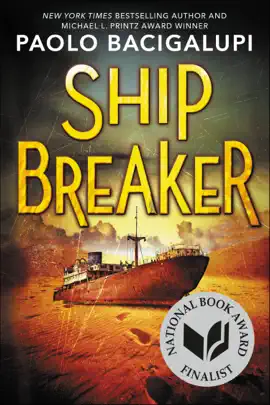 Read: Ship Breaker Book