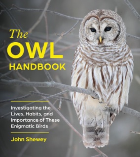 The Owl Handbook by John Shewey