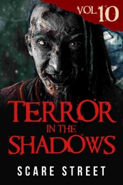 Terror in the Shadows Vol. 10 - Scare Street, Ron Ripley, David Longhorn, Sara Clancy & Bronson Carey
