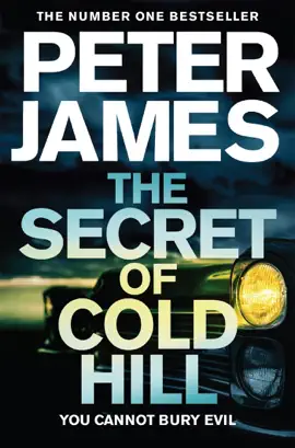 Read: The Secret of Cold Hill Book