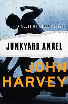 Read: Junkyard Angel Book