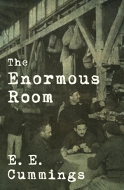 The Enormous Room - E. E. Cummings