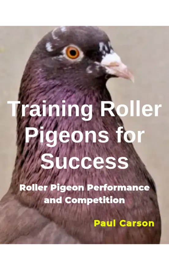 Training Roller Pigeons for Success