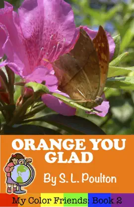 Orange You Glad: A Preschool Early Learning Colors Picture Book