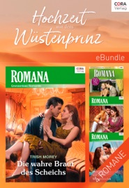 Hochzeit mit dem Wüstenprinz - Trish Morey, Natasha Oakley, Caitlin Crews, Dorothea Ghasemi, Rachael Thomas, Jochen Gaida & Iris Pompesius