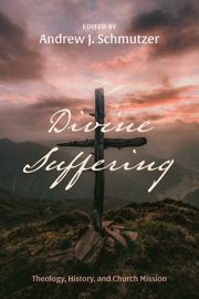Divine Suffering - Andrew J Schmutzer