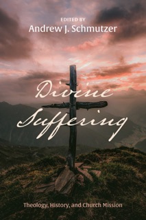 Divine Suffering by Andrew J Schmutzer