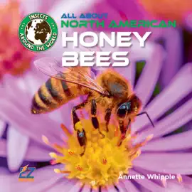 All About North American Honey Bees