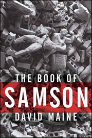 The Book of Samson - David Maine