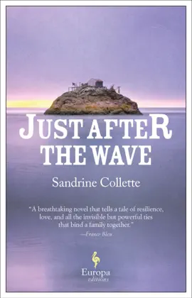 Read: Book Just After the Wave