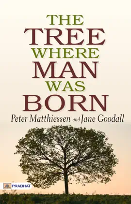 The Tree Where Man Was Born