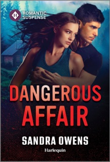 Dangerous Affair by Sandra Owens