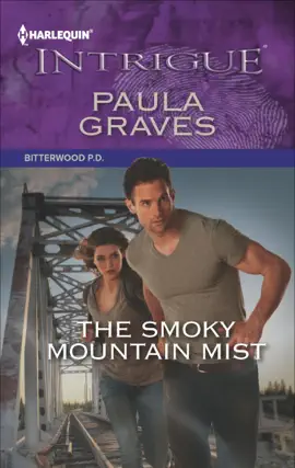 Read: Book The Smoky Mountain Mist