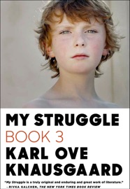 My Struggle: Book 3 - Karl Ove Knausgaard