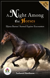 A Night Among The Horses