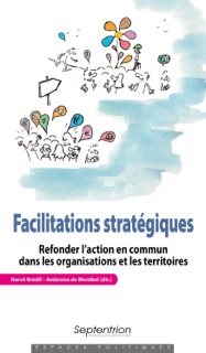 Facilitations stratégiques by Hervé Brédif & Ambroise de Montbel