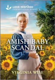 The Amish Baby Scandal - Virginia Wise