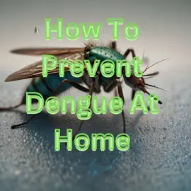 Read: How To Prevent Dengue At Book Home