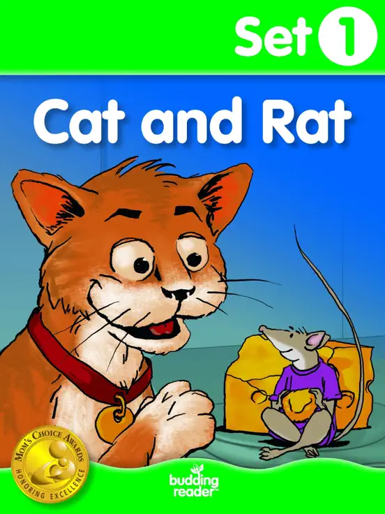 Budding Reader Book Set 1: Cat and Rat