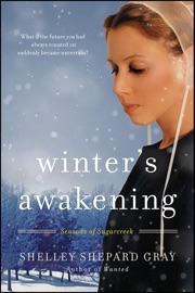 Winter's Awakening - Shelley Shepard Gray