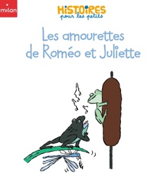 Les amourettes de Roméo et Juliette - Christelle Vallat & Gwendal Le Bec