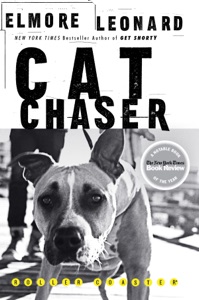 Cat Chaser