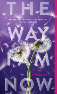 The Way I Am Now - Amber Smith Cover Art