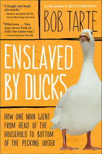Enslaved by Ducks - Bob Tarte Cover Art