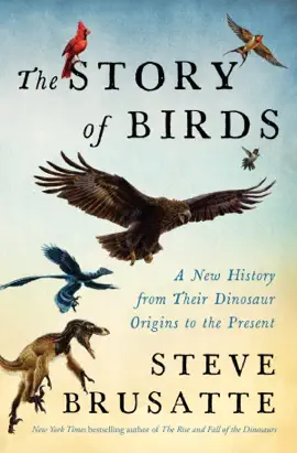 The Story of Birds