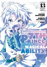 I Was Reincarnated as the 7th Prince so I Can Take My Time Perfecting My Magical Ability Volume 13