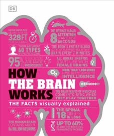 How the Brain Works - DK
