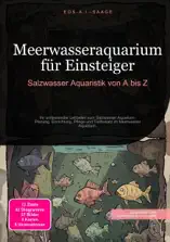 Meerwasseraquarium für Einsteiger