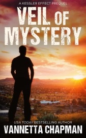 Veil of Mystery - Vannetta Chapman
