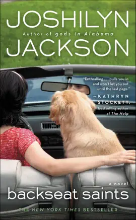 Read: Backseat Saints Book