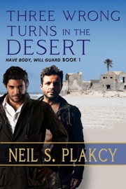 Three Wrong Turns in the Desert - Neil S. Plakcy