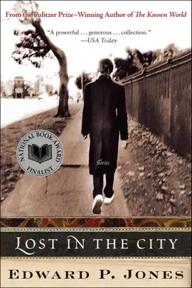 Read: Lost in the City Book