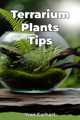 Terrarium Plants Tips
