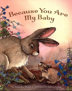 Because You Are My Baby by Jennifer Ward & Sylvia Long