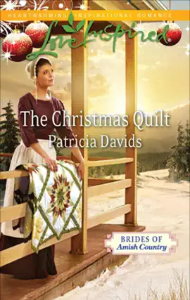 Read: The Christmas Book Quilt