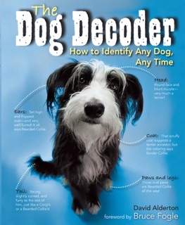 The Dog Decoder by David Alderton
