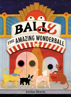 BALLy the Amazing Wonderball by Jordan Morris