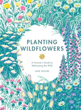 Read: Book Planting Wildflowers